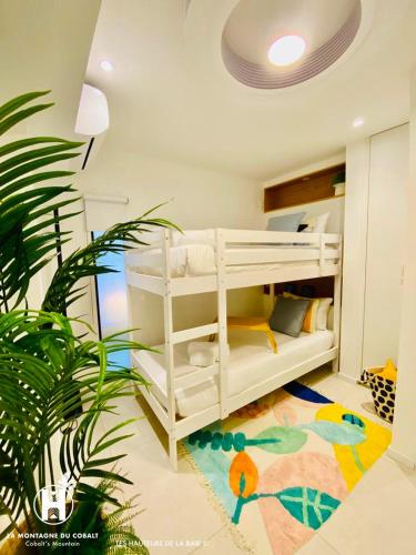 a white bunk bed in a room with a plant at Les Hauteurs de la Baie in Noumea