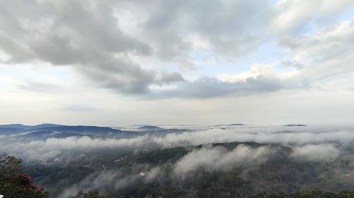 a view of a valley of clouds and trees at Green and Green in Vagamon