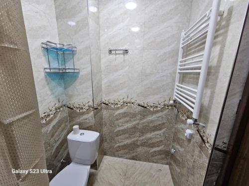 uma casa de banho com um WC e uma cabina de duche ao nível do chão em My Sweet Home In Rustavi city 5 em Rustavi