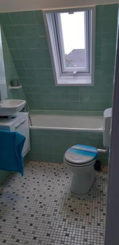 een badkamer met een toilet, een wastafel en een raam bij Dachwohnung in ruhiger Lage in Hannover