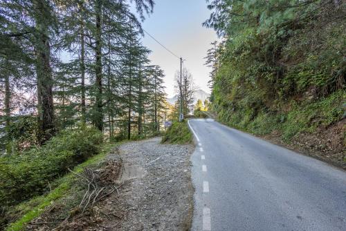 an empty road with trees on the side of a hill at Breezedale in Shimla