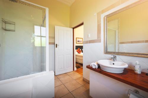 ein Bad mit einem Waschbecken, einer Dusche und einem Spiegel in der Unterkunft Temba Private Game Reserve in Grahamstown