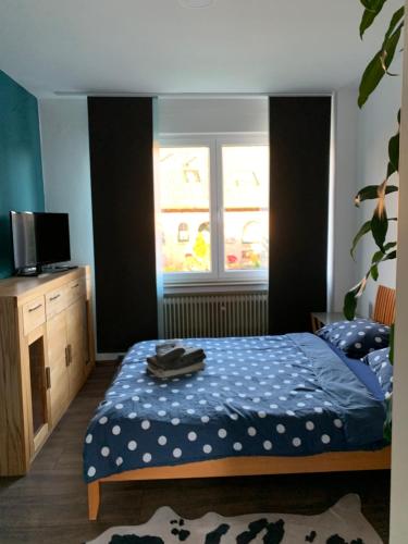 1 dormitorio con 1 cama, TV y ventana en Entspannung am Niederrhein - großes helles Haus mit Kamin, en Emmerich