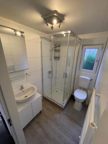 a bathroom with a shower and a toilet and a sink at Chalet vakantiepark Beekbergen in Beekbergen