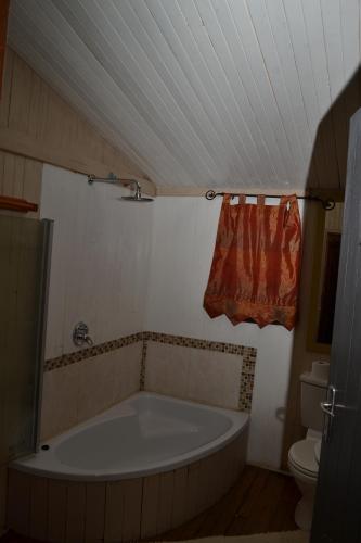 a bathroom with a large tub and a toilet at Thorn Tree Bloemfontein in Bloemfontein