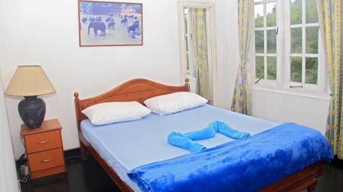a bedroom with a bed with a blue blanket on it at M country home in Mirahawatta