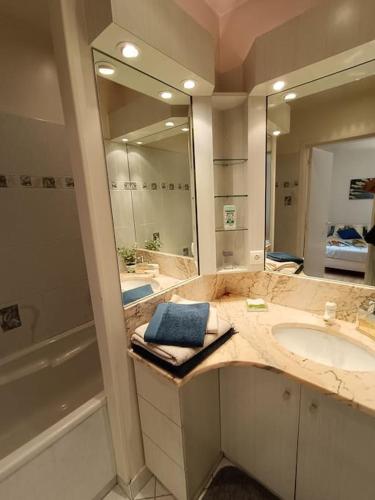 une salle de bain avec un lavabo et un grand miroir dans l'établissement Hôtel le Remigny XVII siècle, à Nevers