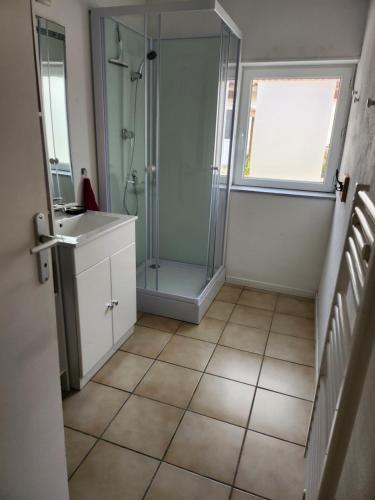 a bathroom with a shower and a sink at Gîte des pins in Saint-Vivien-de-Médoc