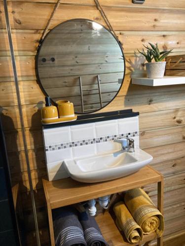 a bathroom with a sink and a mirror at Tiny house bois cosy « Halte là » in La Possession