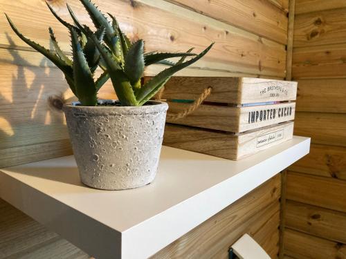 Gallery image of Tiny house bois cosy « Halte là » in La Possession