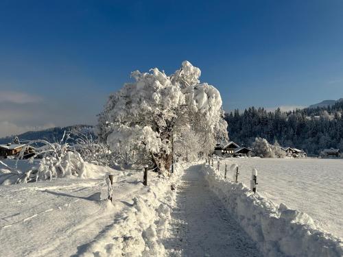 ライト・バイ・キッツビューエルにあるHaus Ponapartの塀の横に雪に覆われた木