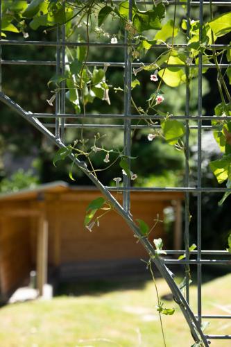 a branch of a tree with flowers in a cage at EXP Co Onsen 呼隱撰 in Atami
