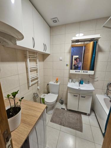 ein Badezimmer mit einem WC, einem Waschbecken und einem Spiegel in der Unterkunft Boutique apartman Dora zuto pace in Konik
