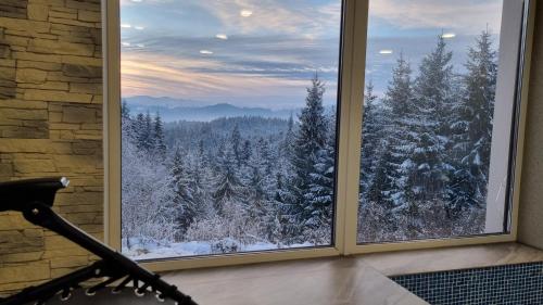 a window with a view of a snow covered forest at SPA Resort Villa Sofia in Yablunytsya