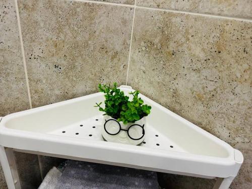 a plant sitting on top of a bath tub at CozyApartment14 in Roşu