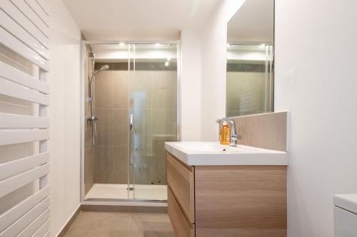 une salle de bain avec un lavabo et une douche dans l'établissement Notting Hill duplex au calme 5 min du lac, à Annecy