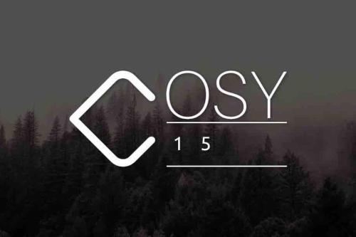 COSY 15