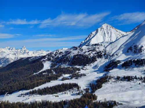 a snow covered mountain with trees in the foreground at Petite Maison Larice in Pila