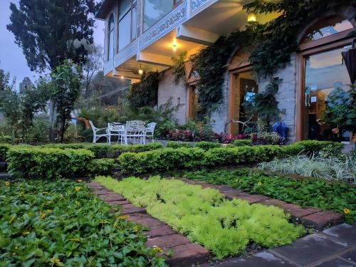 Embrace Himalayan Spa Resort – Photos 2