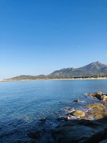 a large body of water with mountains in the background at Appartement proche de la plage d'Algajola in Algajola