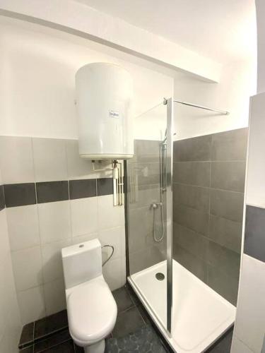 une salle de bain avec toilettes et douche dans l'établissement Appartement proche de la plage d'Algajola, à Algajola