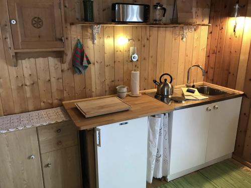 a kitchen with a counter top and a sink at Älpler Stuba Appartements am Lärchenhof in Warth am Arlberg