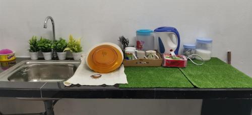 eine Küchentheke mit Spüle, Teller und Pflanzen in der Unterkunft Homestay D'kolam in Pendang