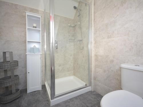 bagno con doccia e servizi igienici. di 1 Bed in Narberth 46737 a Begelly