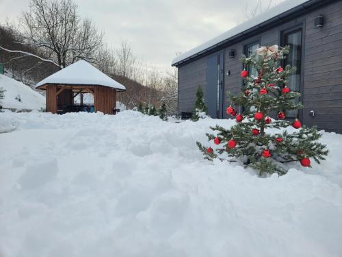 a christmas tree in a pile of snow next to a house at DomEK Obok Rzeki in Bałtów