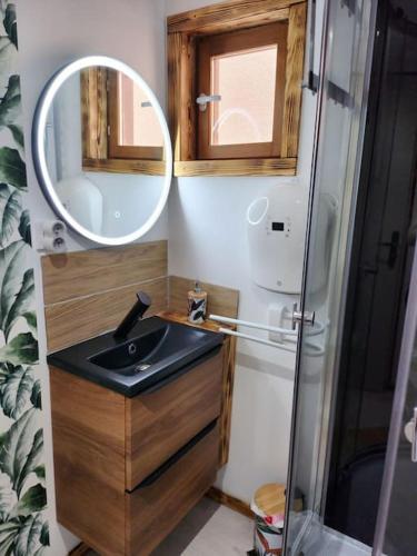 a small bathroom with a sink and a mirror at La cabane de rose in Fresse-sur-Moselle