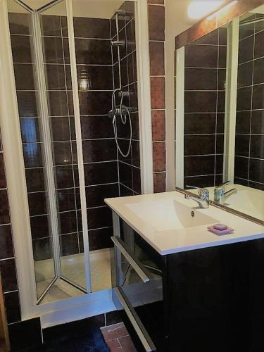 une salle de bain avec un lavabo et une douche dans l'établissement Saint-malachie, à Longchamp-sur-Aujon