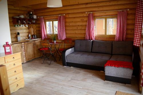 a living room with a couch in a log cabin at Camping Szczecinek Domy Wypoczynkowe in Szczecinek