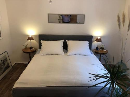 a bedroom with a large bed with two night stands at Villa Adlon in Hochheim am Main