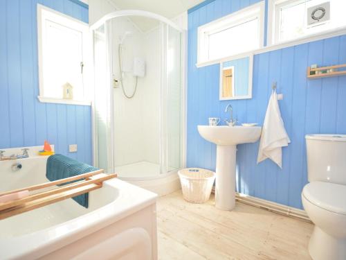 baño con paredes azules, lavabo y aseo en 1 bed in Llansteffan 74267, en Ferryside