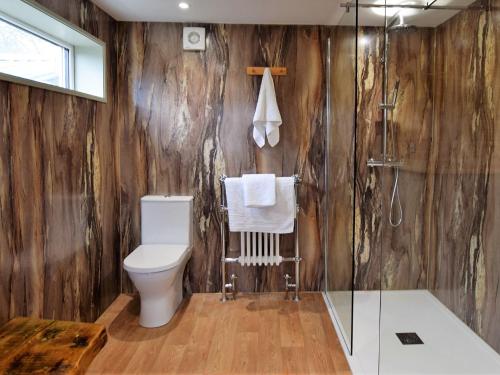 a bathroom with a toilet and a shower at 1 Bed in Bodiam 74237 in Bodiam