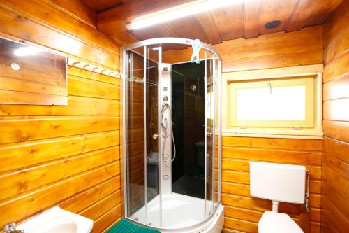 a shower in a wooden bathroom with a toilet at Niedźwiedziówka in Jaworki