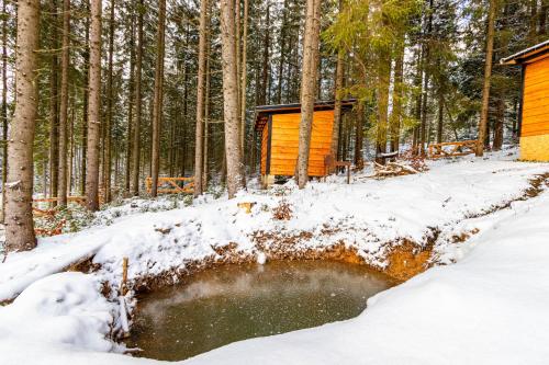 a cabin in the woods with snow on the ground at Шишка in Bukovel
