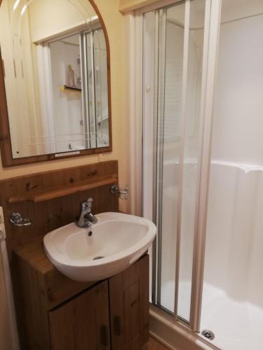 a bathroom with a sink and a shower at Mobil home Vergnelibert in Chalais
