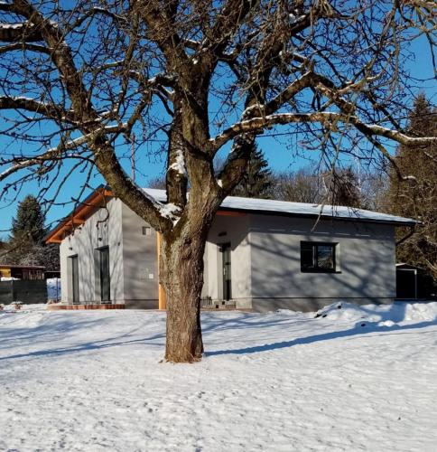 a tree in the snow in front of a building at Chata Pohádka in Česká Skalice