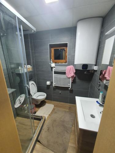 a bathroom with a toilet and a sink at Dzemper Cottage House in Mitrovac
