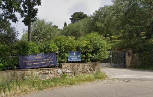 Φυσικό τοπίο κοντά σε αυτό το διαμέρισμα