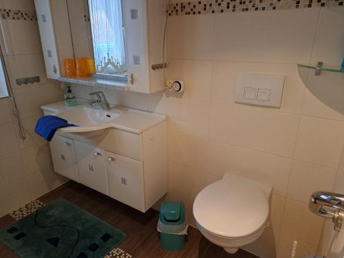 małą łazienkę z toaletą i umywalką w obiekcie FEWO Angelika Behindertengerecht w mieście Rohrbach
