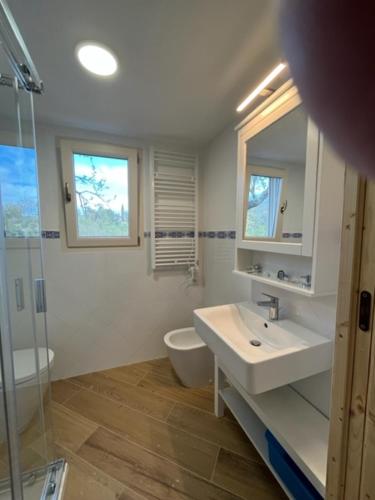 a bathroom with a sink and a toilet and a mirror at La Casina a Treggiaia in Treggiaia