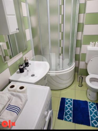 a bathroom with a shower and a sink and a toilet at Atina apartman in Brčko
