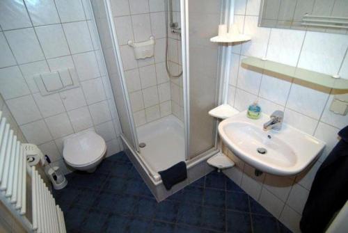 a bathroom with a shower and a sink and a toilet at Urlaub-in-Stolberg-FeWo-OG in Stolberg i. Harz