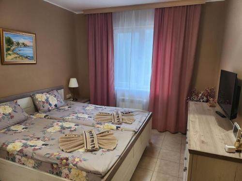 Plano de Royal Plaza Apartments Borovets