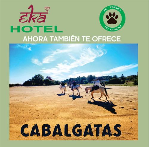 Galeriebild der Unterkunft Eka Hotel in Nueva Palmira