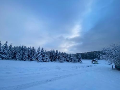 a field covered in snow with trees and a cabin at Kleine Ferienwohnung auf dem Land, Haus Hans Stepha in Gößweinstein