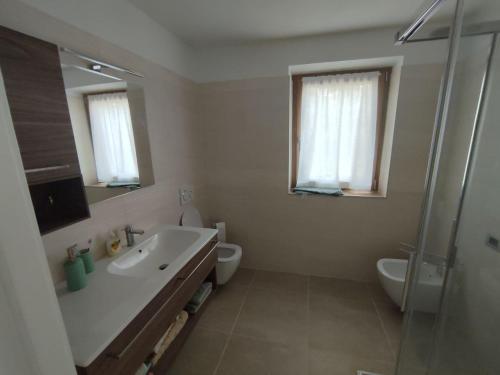 a bathroom with a sink and a toilet and a shower at Nuovo Appartamento con Giardino in Folgaria