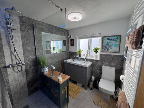 a bathroom with a shower and a sink and a toilet at Brick lodge house in Castle Donington